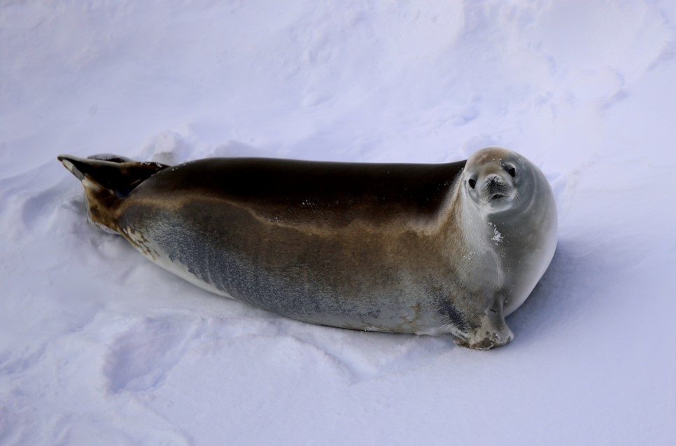 Ecological hotspots mapping 1