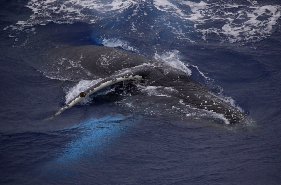 Ecological hotspots mapping 2