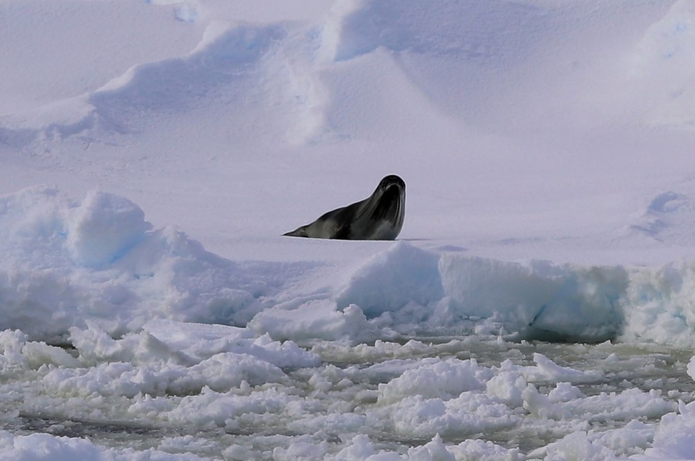 Ecological hotspots mapping 3